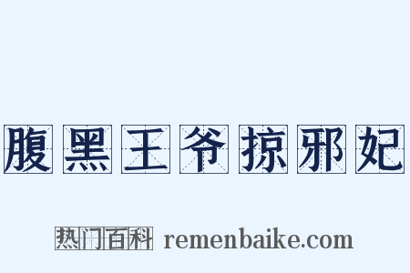 腹黑王爷掠邪妃是什么意思的图片
